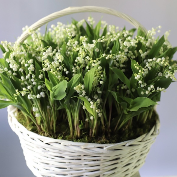 Lily of the Valley in a basket -  249 ландышей 