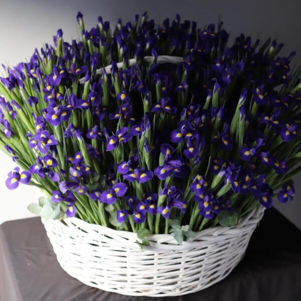 Irises in basket - Размер 4XL