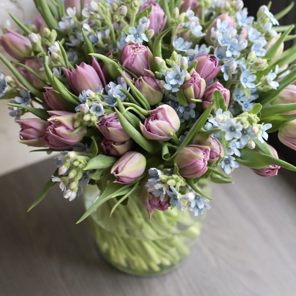 Tulips with Oxypetalum in a vase