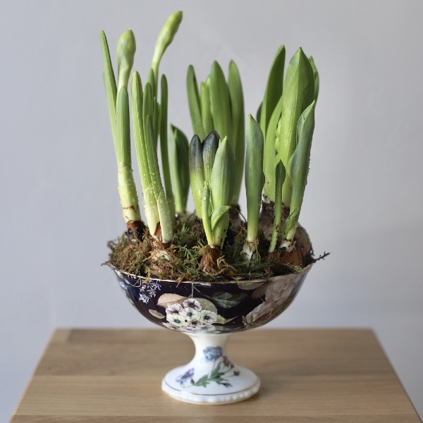 Spring flowers for celebratory table -  Размер M (кашпо обсуждается отдельно) 