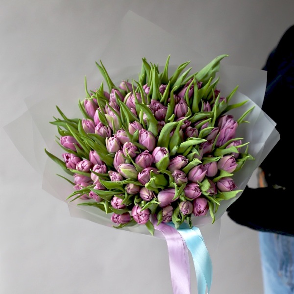 Lilac Tulips - 75 тюльпанов