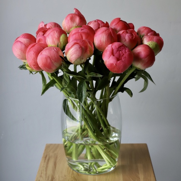 Peony in a vase - 19 пионов