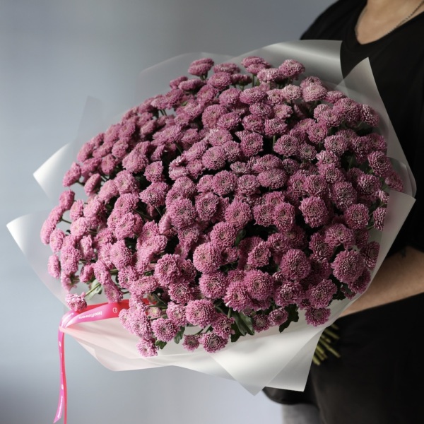 Spray Chrysanthemum - 49 хризантем