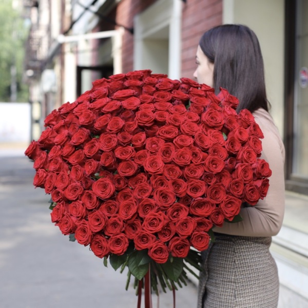 Red roses - 151 роза