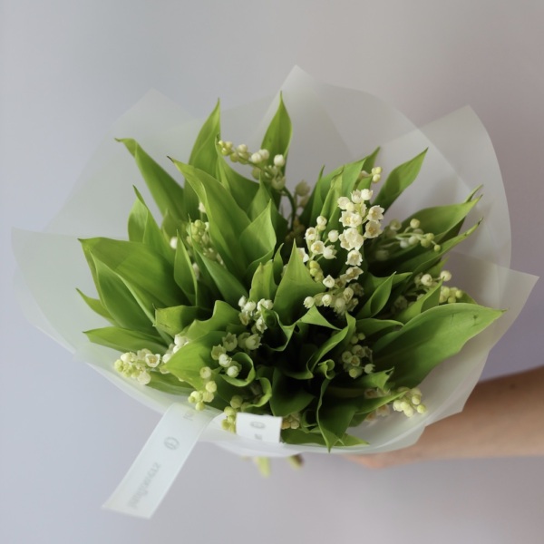 Lily of The Valley - 25 ландышей