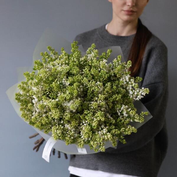 White Lilac - 29 веток сирени