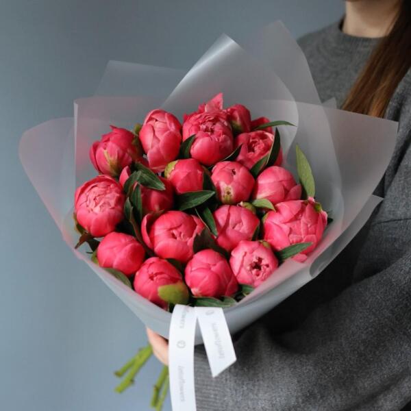 Coral Peony - 15 пионов