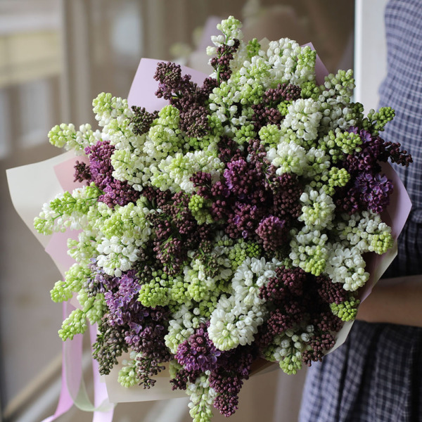 Mixed color Lilac - 19 веток сирени 