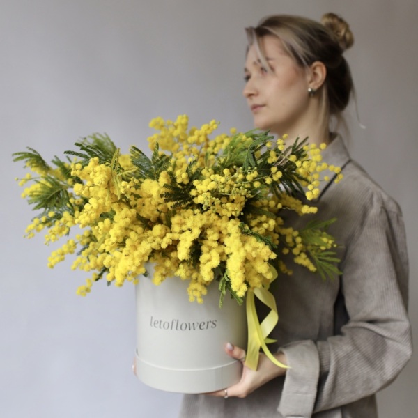 Mimosa in a hat box - Размер L 