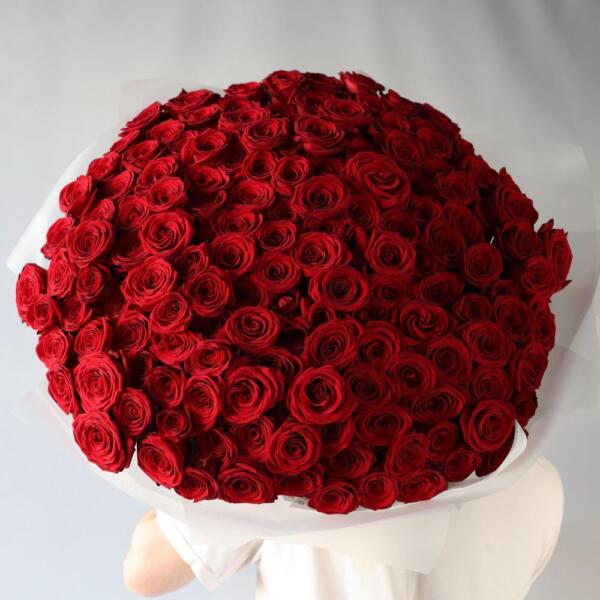 Red roses - 151 роз
