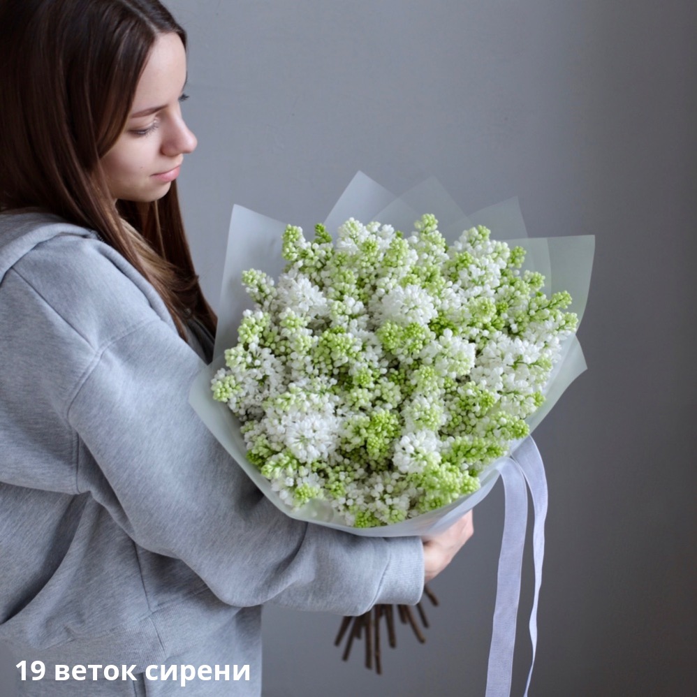 White Lilac White Lilac -  19 веток сирени