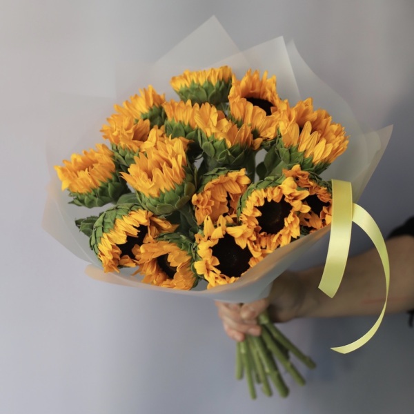 Sunflower -  15 подсолнухов 