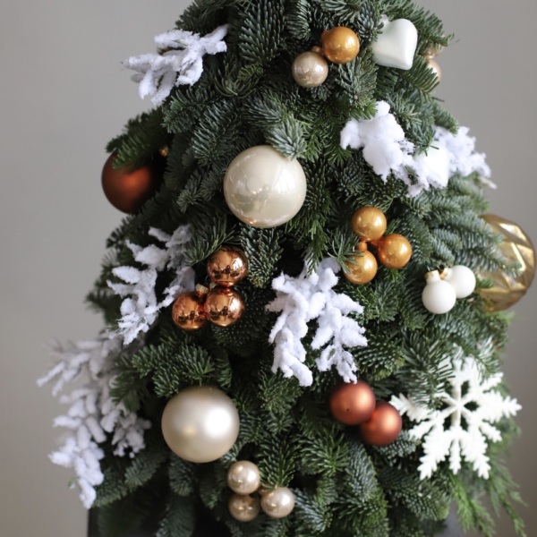 Christmas Tree 'Tangerine pie'  - 70 см