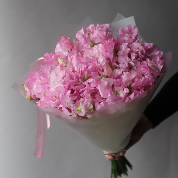 Pink Sweet Pea - 69 душистых горошков