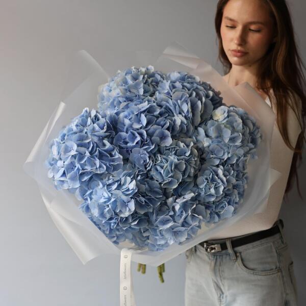 Skyblue Hydrangea - 9 гортензий