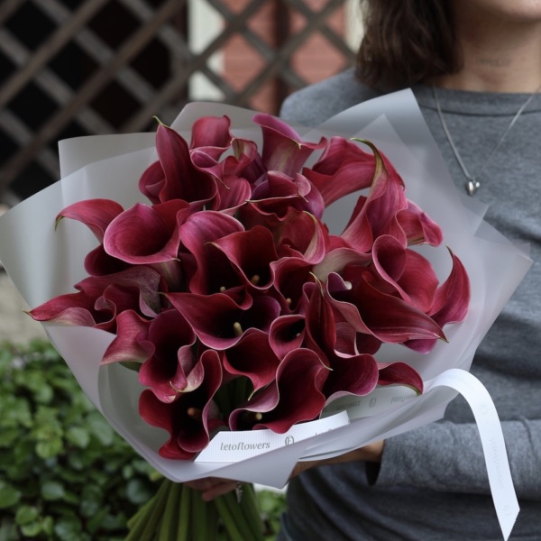 Blackberry Calla Lily -  29 калл 