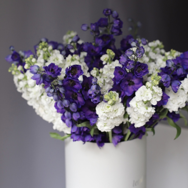Stock and Delphinium in a hat box
