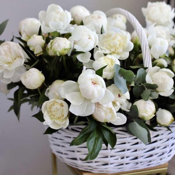 Basket of gentle Peonies - Размер XL