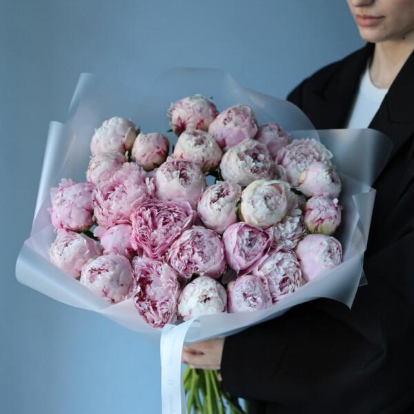 Pink Peony - 29 пионов