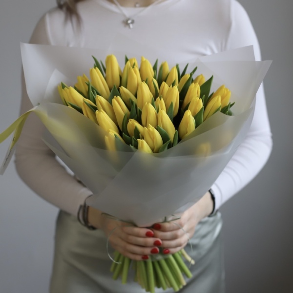 Yellow Tulips - 49 тюльпанов