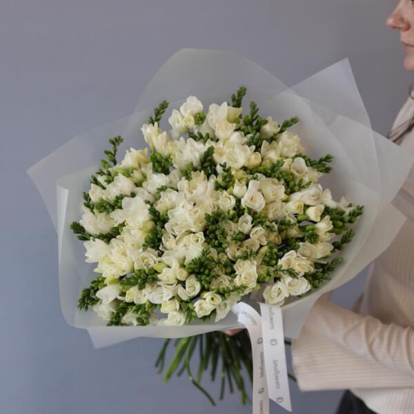 White Freesia - 99 фрезий