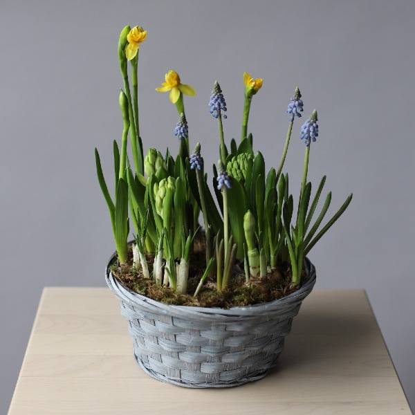 Spring flowers in a basket - Размер M