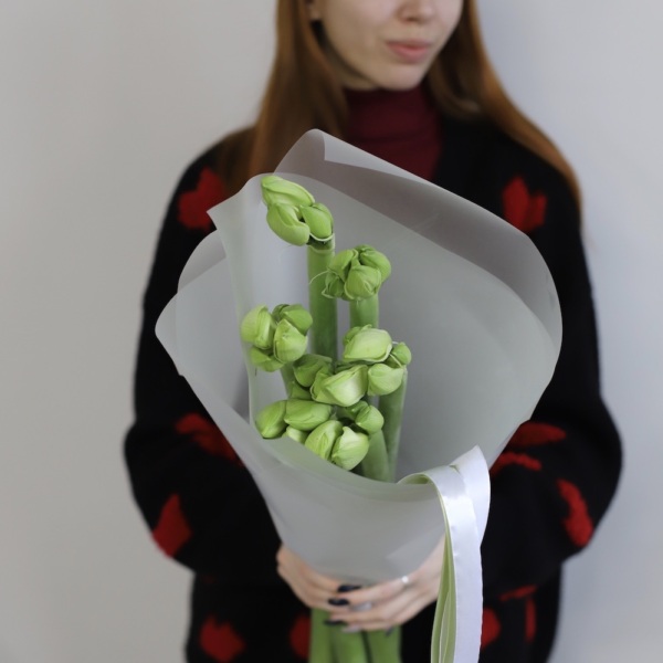 White Amaryllis - 7 амариллисов