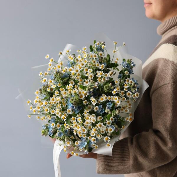 Chamomile with Oxypetalum - Размер S