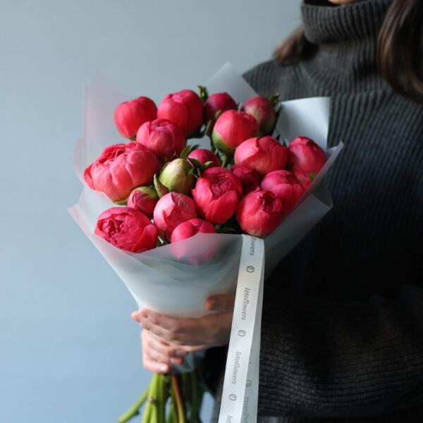 Coral Peony - 19 пионов