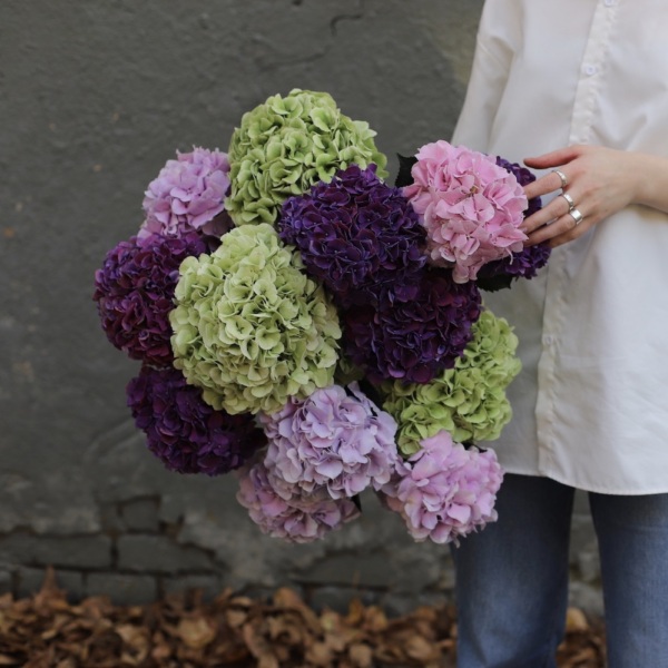 Bouquet of Colorful Hydrangeas -  15 гортензий 