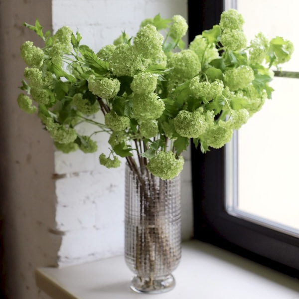 Viburnum in a vase - 19 веток вибурнума