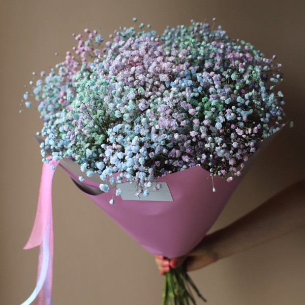 Rainbow Baby's Breath - 15 гипсофил