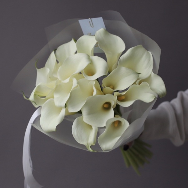 White Calla Lily - 19 калл 