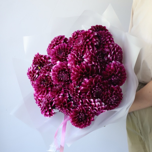 Dark Dahlia -  25 георгин 