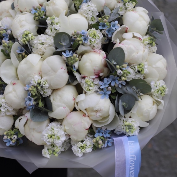Peonies with Stock and Oxypetalum - Размер L
