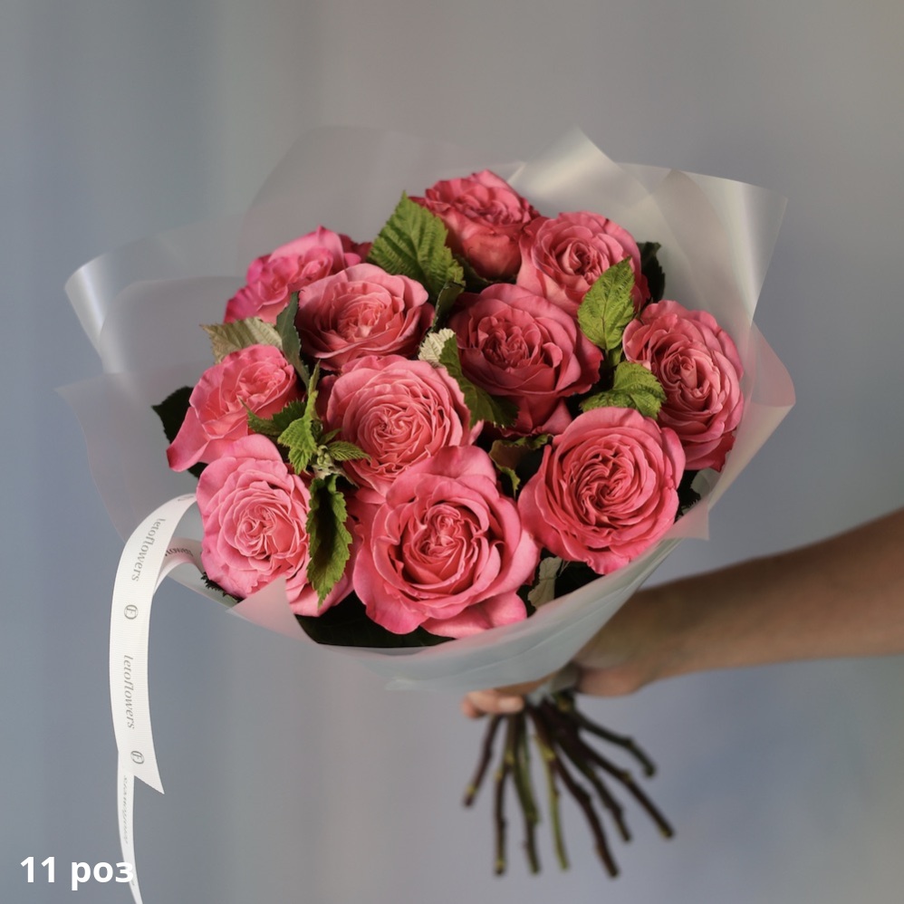 Ashley Garden Roses Ashley Garden Roses -  11 роз