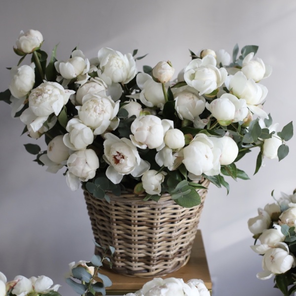 Flower set of peonies "Snow-White" - Размер S