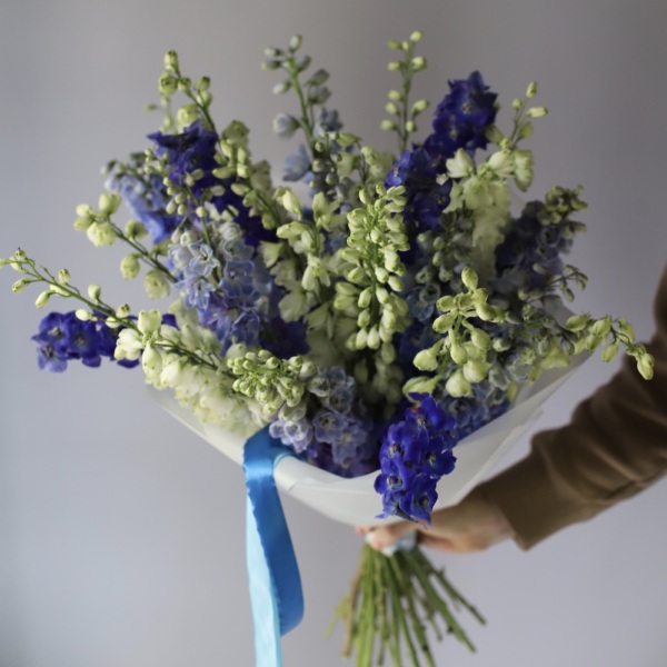 Mixed color Delphinium - 29 дельфиниумов