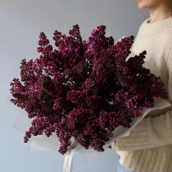 Local Lilac - Размер L