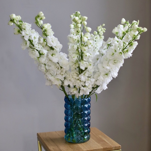 Delphinium in a vase - 9 дельфиниумов (ваза может отличаться)