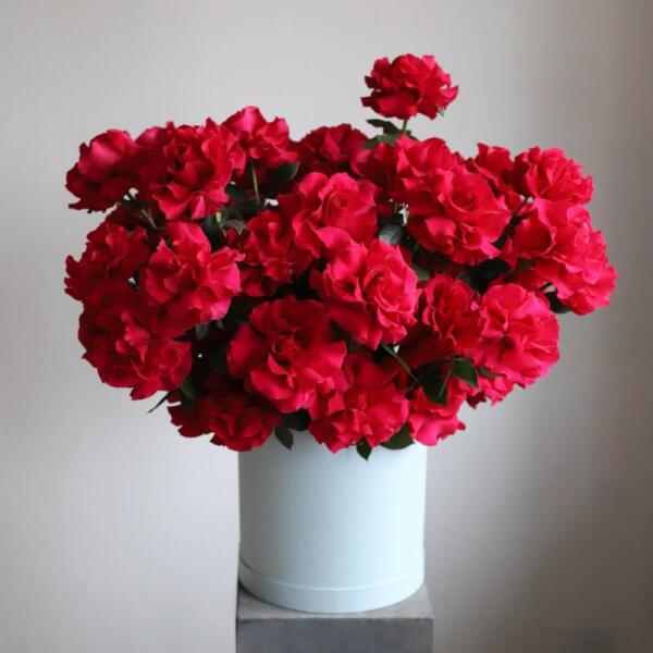 Raspberry sherbet in a hat box - Размер L