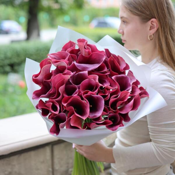 Blackberry Calla Lily - 49 калл