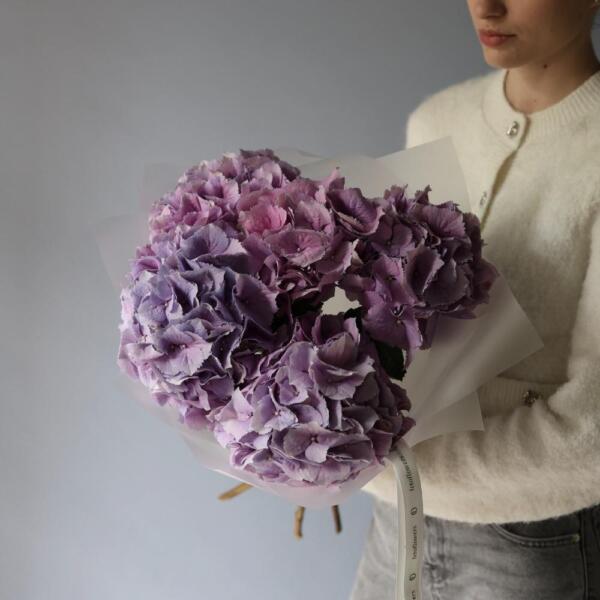 Lavender Hydrangea - 5 гортензий