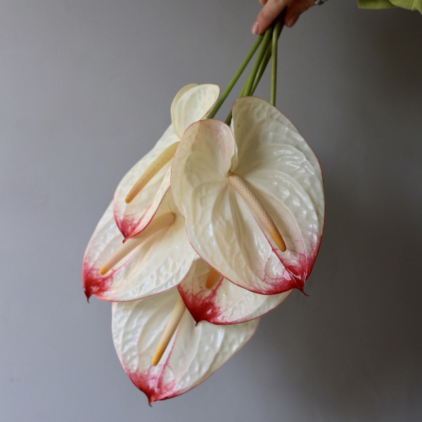 Bridal bouquet of Anthurium - Размер S
