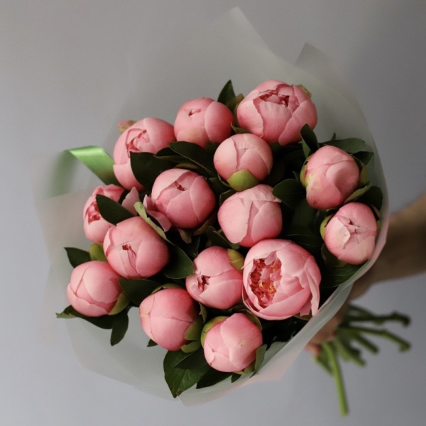 Salmon Peony - 15 пионов