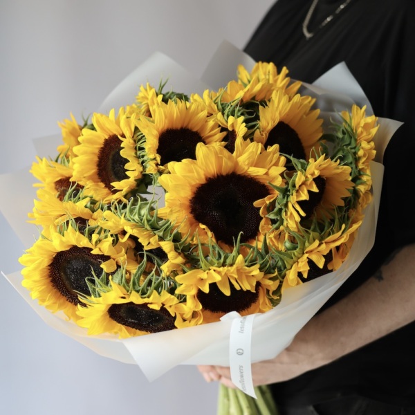 Sunflower - 19 подсолнухов