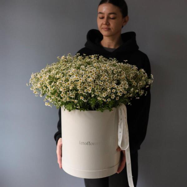Chamomile in a hat box - Размер 2XL