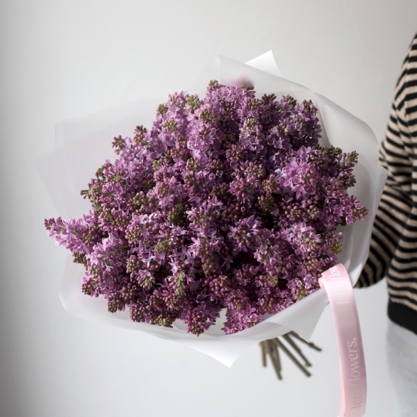 Purple Lilac - 19 веток сирени