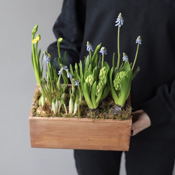 Spring flowers in a woody box - Размер M 