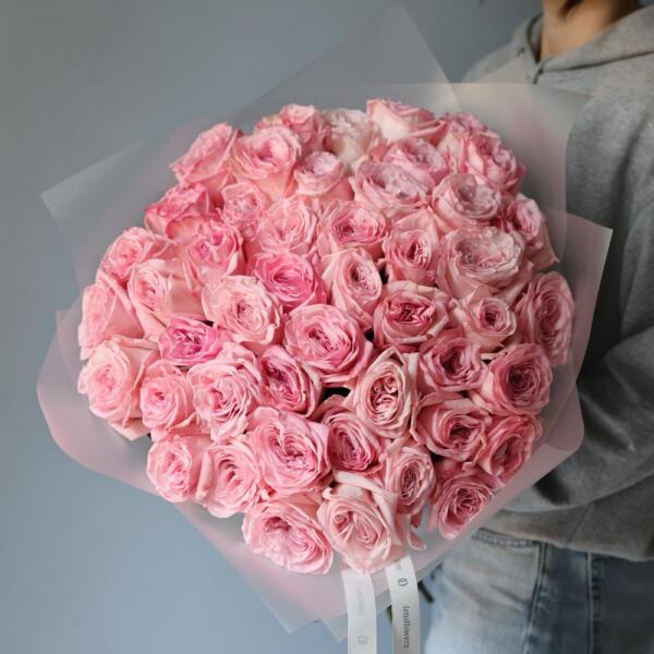 Pink Ohara Garden Rose - 47 роз